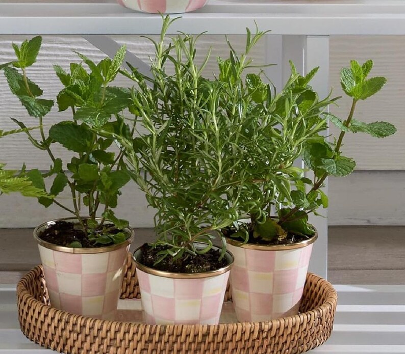 May include: Three potted herbs, including mint and rosemary, are arranged in a round woven wicker tray. Each plant sits in a cylindrical ceramic pot featuring a light pink and white checkered pattern with a metallic gold rim at the top edge.