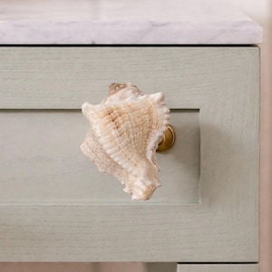 Peut inclure: Poignée de tiroir en forme de coquillage fixée sur une porte d'armoire vert clair. Le coquillage de couleur naturelle est fixé avec une vis en laiton. Le meuble a un dessus en marbre.