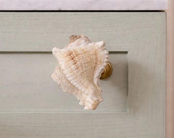 Ceramiczna gałka do szuflady w kształcie muszli, uchwyt do szafki w stylu Coastal Chic, uchwyt do komody w stylu Riviera Vintage, wystrój dla miłośników oceanu, dom na plaży, metamorfoza szuflady