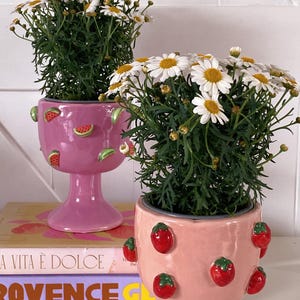 Maceta de fresa rosa, sandía, maceta estética de interior, bonita decoración de frutas, decoración del hogar en tonos pastel, estilo kawaii, decorativa, regalo gastronómico