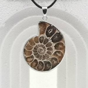 Peut inclure: Pendentif représentant un fossile d'ammonite poli, avec un motif en spirale dans des tons bruns et beiges. Le fossile est serti dans un cadre en métal argenté et est suspendu à un cordon noir.