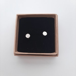 Può includere: Un paio di piccoli orecchini a perno in argento con un design circolare testurizzato. Gli orecchini sono esposti in una scatola marrone con un interno nero.