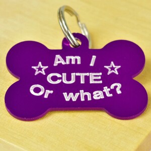 Am I CUTE or what? Bone Pet Id Tag, Choose Your Colour, Aluminium dog Tag, Funny Pet Tags, Engraved Dog Tags