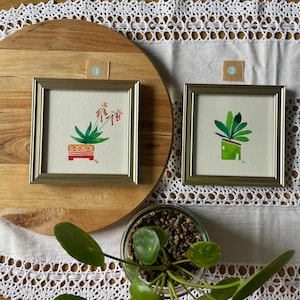 Acquarello incorniciato con succulenta
