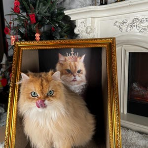 Casa de cartón para gatos con retrato de gato, rascador con retrato personalizado, cama divertida para gatos, casa con marco de pintura al óleo, regalo para amantes de las mascotas