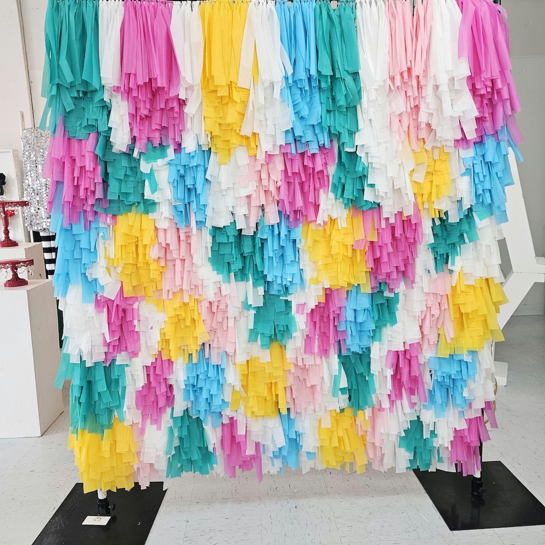 Colorful Fringe Backdrop: Handmade Party Photo Booth Streamers - Etsy
