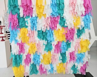 Colorful Fringe Backdrop: Handmade Party Photo Booth Streamers
