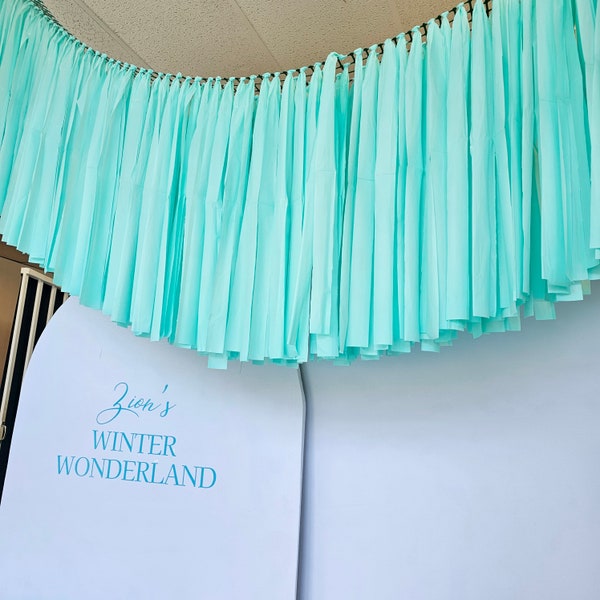 Ceiling fringe for party Ceiling Fringe Ceiling install fringes wedding decorations fringes party backdrop Fringe plastic design custom TEAL