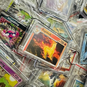 Pu&ograve; includere: Una collezione di carte da scambio Pok&eacute;mon in buste di plastica trasparenti con portachiavi allegati. Le carte presentano vari personaggi Pok&eacute;mon, tra cui Impidimp, Rapidash, Articuno e Reshiram. Le carte hanno diversi punti attacco, che vanno da 120 a 130.