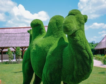 Camel artificial grass topiary fugures