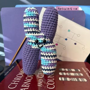 May include: A handmade crochet chromosome in purple, blue, and white. The amigurumi figure has a smiling face with black bead eyes. The item is resting on a book titled "Chromosomal Abnormalities and Genetic Counseling".