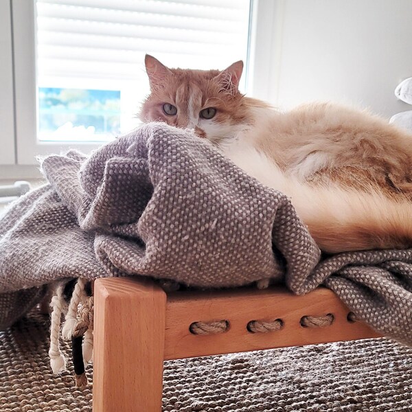 Cat Bed Hammock | Dog Bed | Cat Custom Furniture |  Wooden Pet Supplies