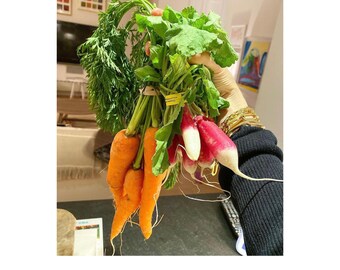 Peut inclure: Un bouquet de carottes orange fraîches et de radis rouges et blancs avec des fanes vertes. Le texte en haut indique THE SHG FOOD GUIDE et le texte en bas indique THE ESSENTIAL GUIDE TO CLEANING UP YOUR DIET HEAL ACNE, IMPROVE YOUR MOOD AND INCREASE YOUR ENERGY.