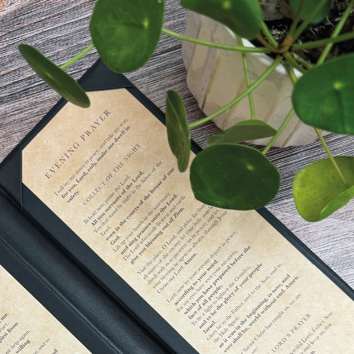 Family Liturgy Prayer Service Case, Leather, Morning and Evening Prayer ...