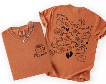 Pumpkin Pregnancy Reveal Shirt, New Mom Gift, Autumn Baby Announcement Tee, comfort colors Shirt, fall mama tshirt, pumpkin baby shower tee