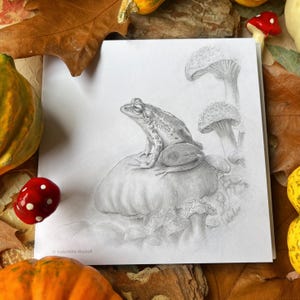 Frog and Mushroom Greeting Card : Birthday Toad Fairy Prince Cute Funny Nature Cottagecore Renaissance Vintage Original Drawing Art