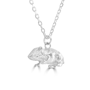 Gepersonaliseerde zilveren caviaketting - op maat gegraveerde sterlingzilveren sieraden voor dierenliefhebbers