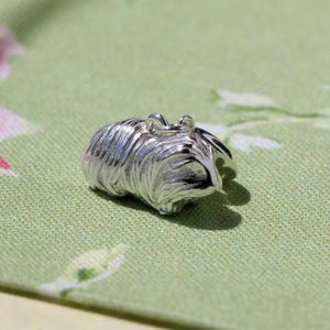 Zilveren bedel langharige cavia - Sterlingzilveren caviahanger - Sieraden voor dierenliefhebbers