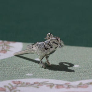 Budgie Silver Charm - Sterling Silver Budgie Pendant - Bird Jewellery for Pet Lovers