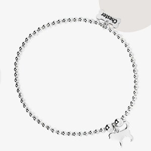 May include: A silver beaded bracelet with a silver dog charm. The charm has the name "Chester" engraved on it.
