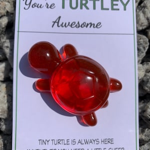You're Turtley geweldig, zorgenbeer, klein cadeautje, juichen, harsschildpad, vasthouden in je hand, troost, zakknuffel, geruststelling, terug naar school