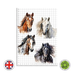 Aquarell Pferd, Appaloosa, Lorbeer, Sauerampfer, schwarz, weiße essbare Kuchendekoration, Zuckergussbogen, WAFER Karte, essbare Drucke