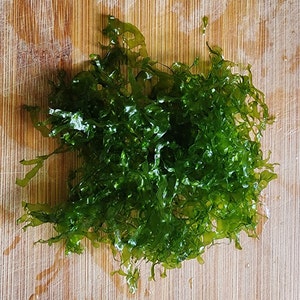 Subwassertang Aquarium Plant Süsswassertang Round Pellia