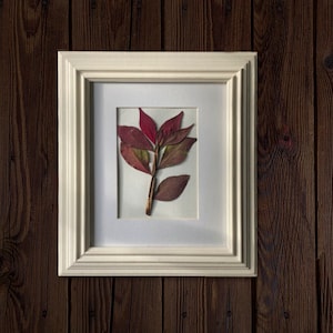 Pressed and Framed Burning Bush Leaves