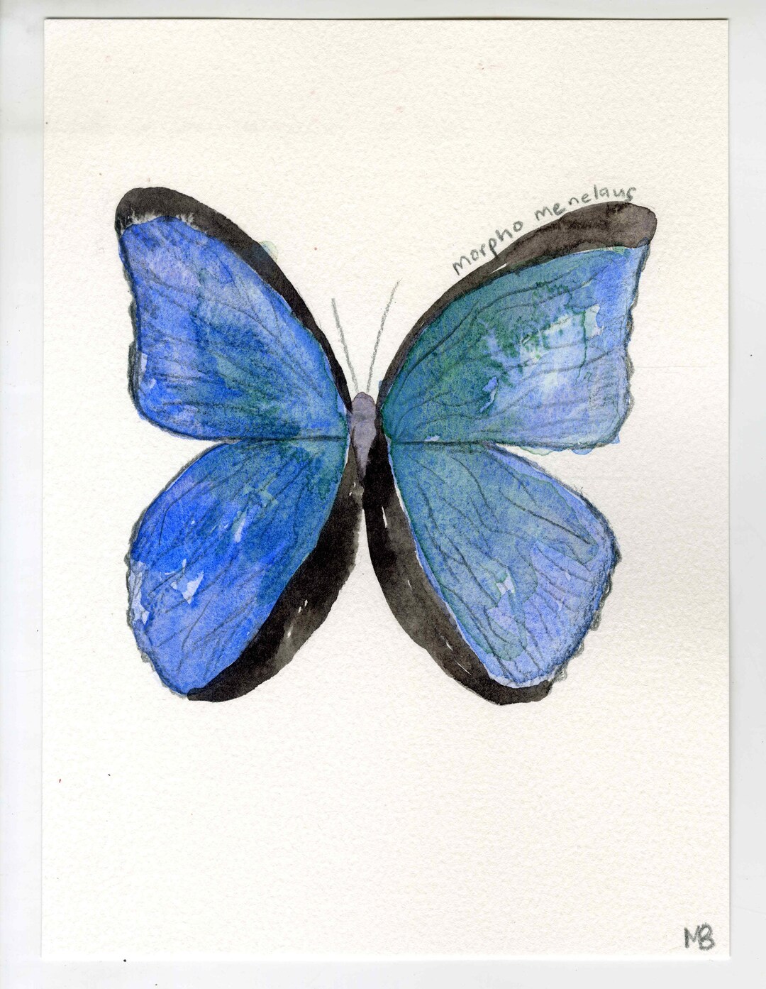 WHITE BUTTERFLY 5X7 PHOTO FRAME main image 0
