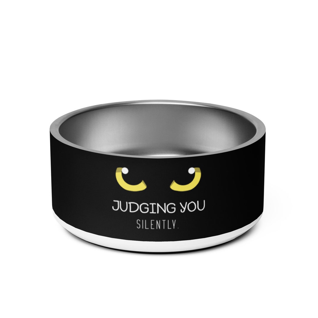 Cat Eyes Stainless Steel Cat Food Water Bowl Silent Judgment Etsy
