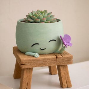 Maceta de interior / Maceta suculenta caprichosa / Decoración de escritorio kawaii