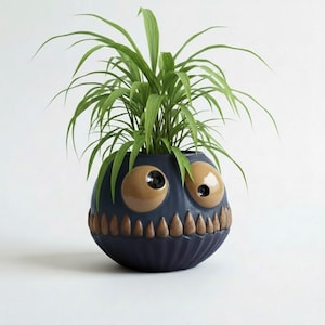 May include: A navy blue ceramic plant pot with a monster face design. The pot has large, tan-coloured eyes and a row of brown teeth. It contains green, leafy plants. The pot is approximately 20 cm in diameter.