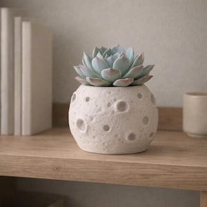 3D Printed Moon Planter | Eco-Friendly Lunar Decor