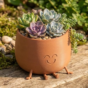 May include: A terracotta-colored planter with a smiling face design, holding a variety of succulents. The planter has small legs. The succulents include green, purple, and blue-green plants. The planter is sitting on a wooden surface.