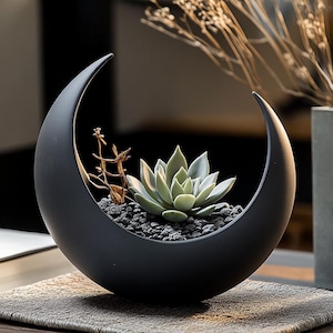 Op de afbeelding: Een zwarte keramische plantenpot in de vorm van een halve maan, met een kleine vetplant die erin groeit. De pot staat op een getextureerd oppervlak.