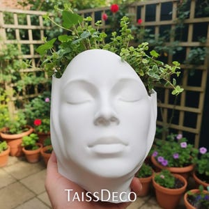 Elegant Female Head POT | PLANTER |