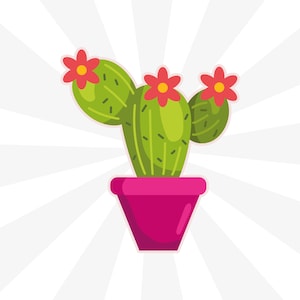 Peut inclure: Un cactus vert avec trois fleurs rouges dans un pot rose. Le cactus est sur un fond blanc avec des rayures blanches et grises.