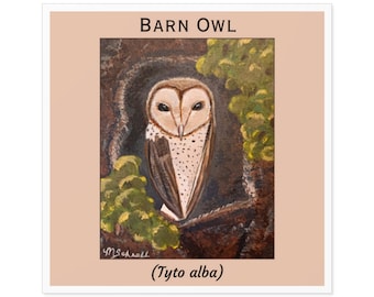 Barn Owl Sticker, Tyto alba, Bird Sticker, Laptop Sticker, Water Bottle Sticker, Gift for Owl Lover, Birdwatching, Owl Art