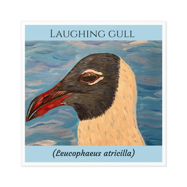 Laughing Gull, Seagull Sticker, Gift for Birdwatcher, Laptop Decal, Water Bottle Sticker, Indoor/outdoor