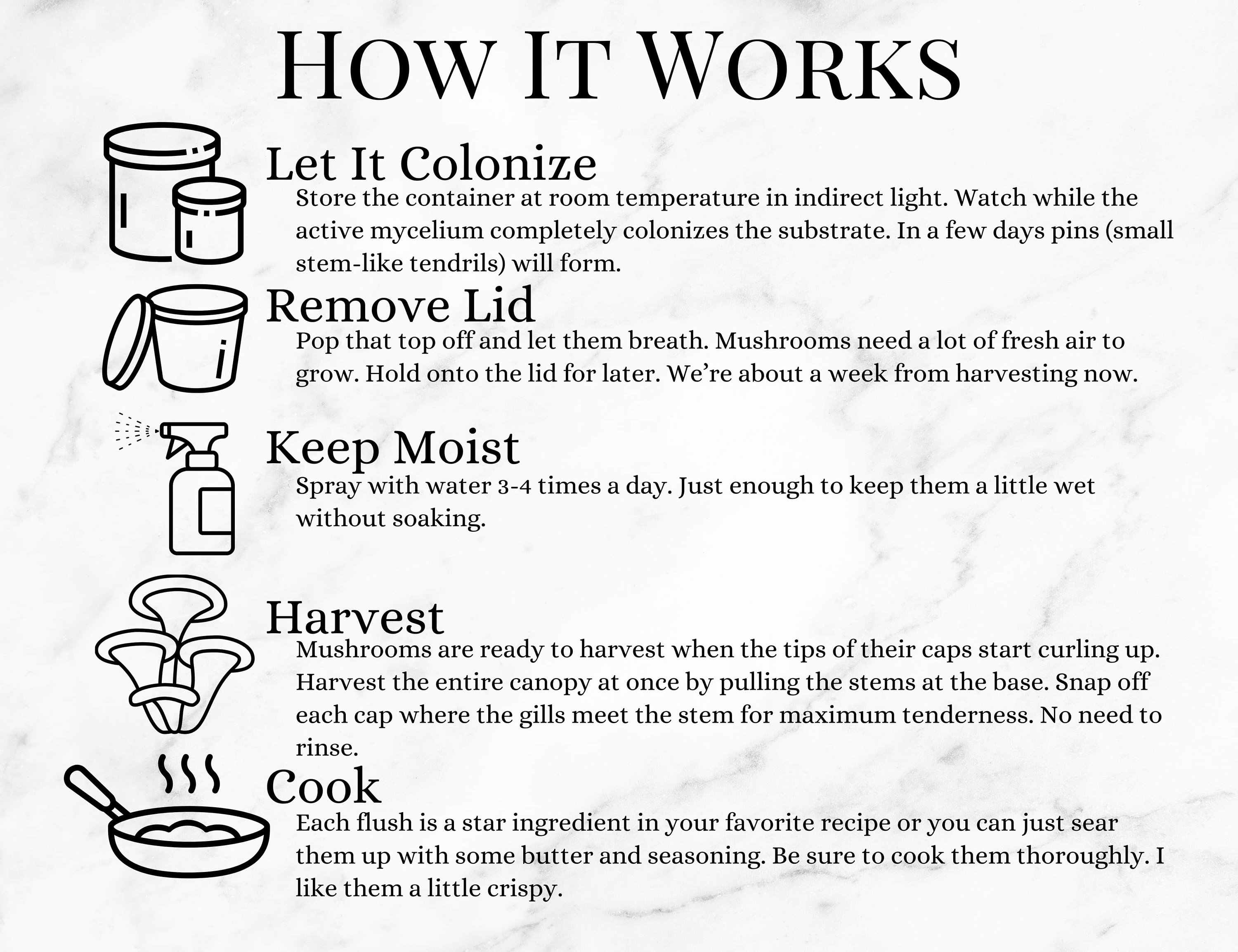 Pink Oyster Mushroom Grow Kit Bonsai Mushrooms Etsy