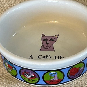 Cat Bowl, 