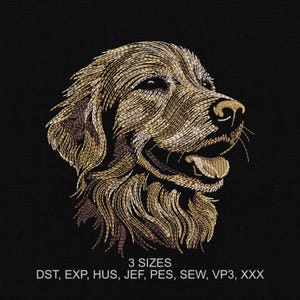 Elegant Golden Labrador Retriever Dog Machine Embroidery Design - 3 sizes - Digital Embroidery File - Instant Download