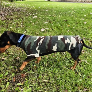 May include: A small dog wearing a camouflage-patterned coat, walking on green grass. The coat features shades of green, brown, and white. The dog has black fur with brown legs and a blue collar.