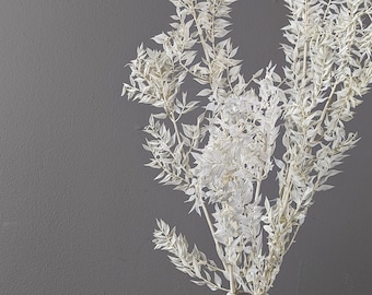 20 STEMS Bleached Dried Italian Ruscus Dried Greenery Home Decor Floral Supply Wedding Event DYI Arrangement Centerpieces White modern decor