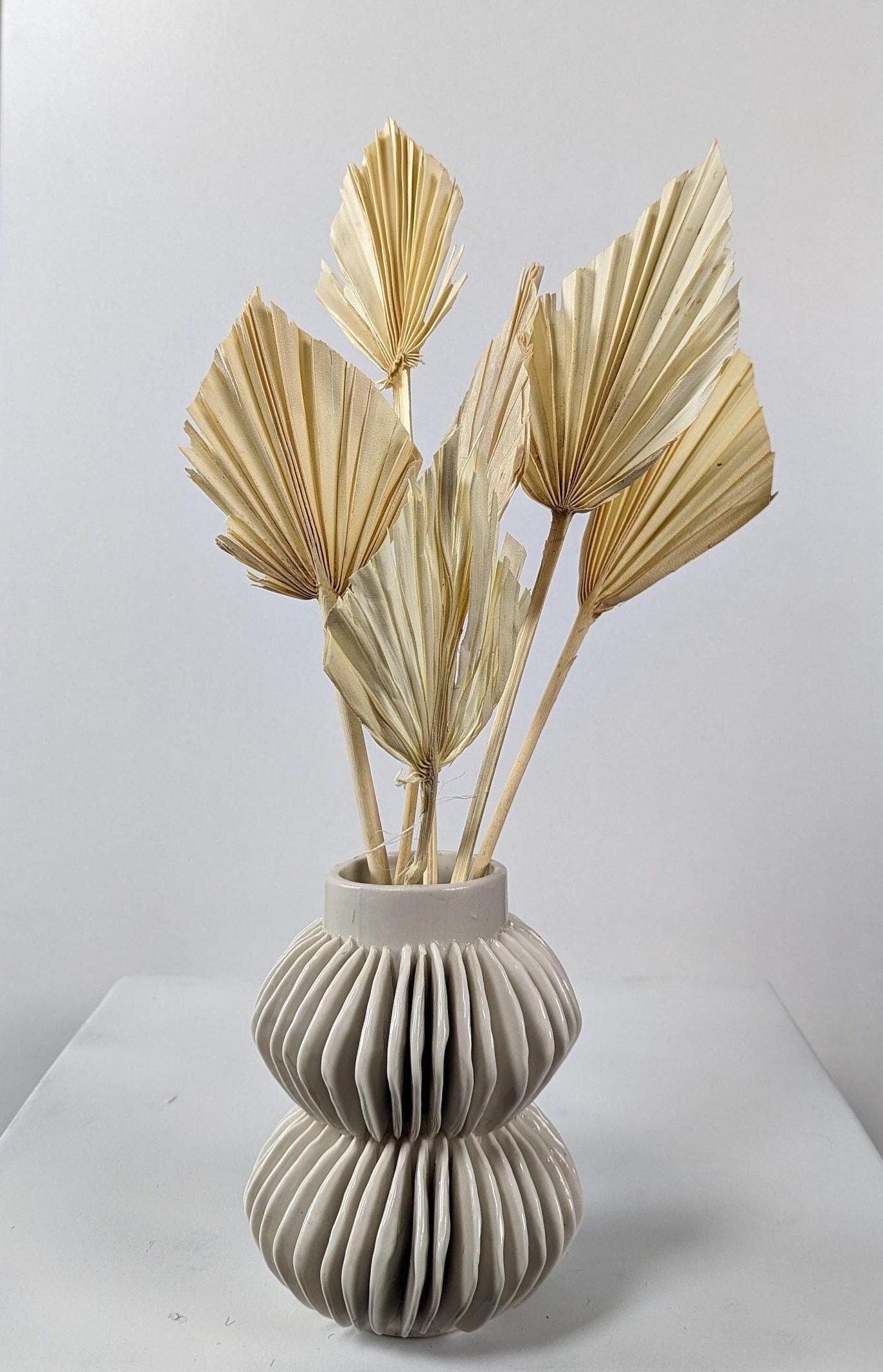 SPEAR DRIED PALM Leaves -Natural Larg...