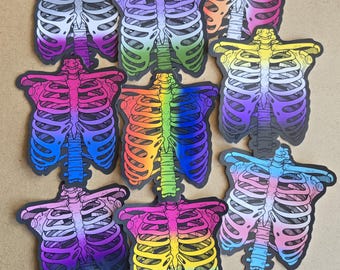 Pegatina de la caja torácica del orgullo queer / Calcomanía de vinilo de anatomía LGBTQ / Arcoíris, trans, no binario, género fluido y más