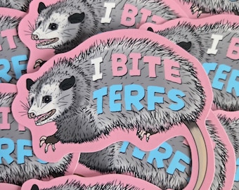 Pegatina de zarigüeya / Vinilo adhesivo de activismo por los derechos trans / Humor queer