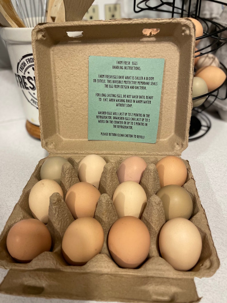 Unwashed Farm Fresh Eggs Etsy