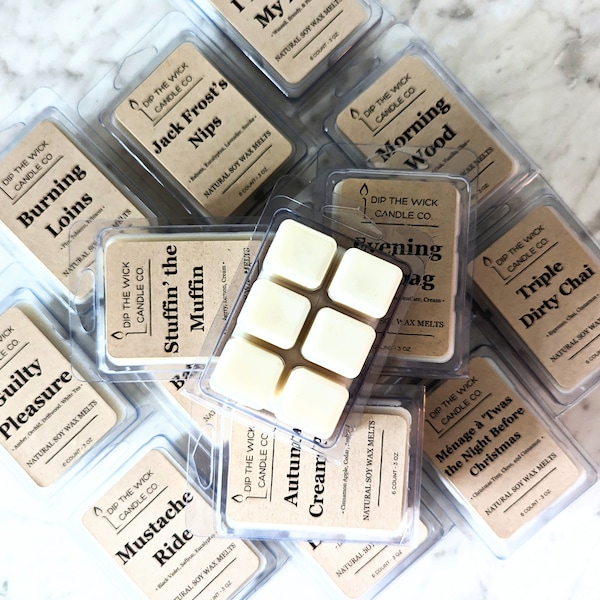 WAX MELTS - Soy Wax Melts, 3 oz Clamshell, Easy Clean Wax Melts, Funny Gift, Affordable Gift, Co-worker Gift, Housewarming, Safe Fragrance