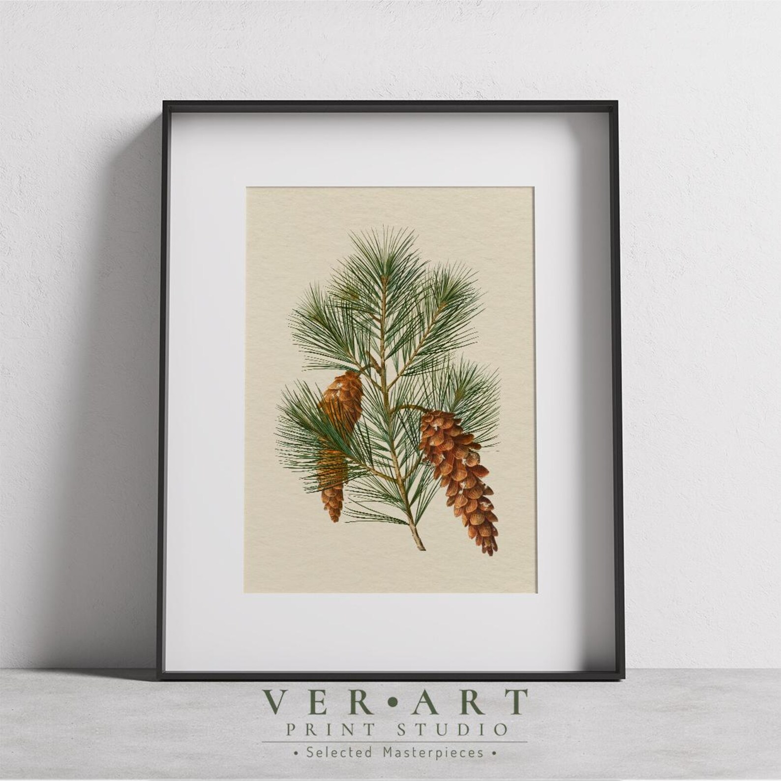 Vintage Pine Cone Wall Art Printable |pine Tree Branch Sketch | Digital ...